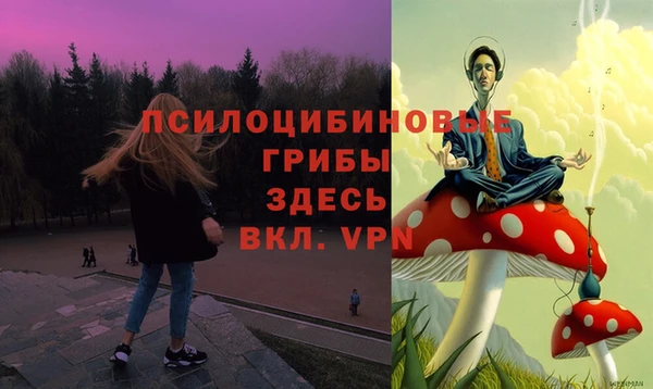 стаф Снежногорск