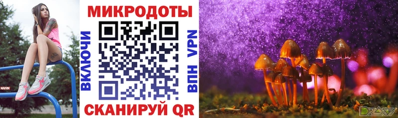 omg ССЫЛКА  Ялуторовск  Галлюциногенные грибы Cubensis 